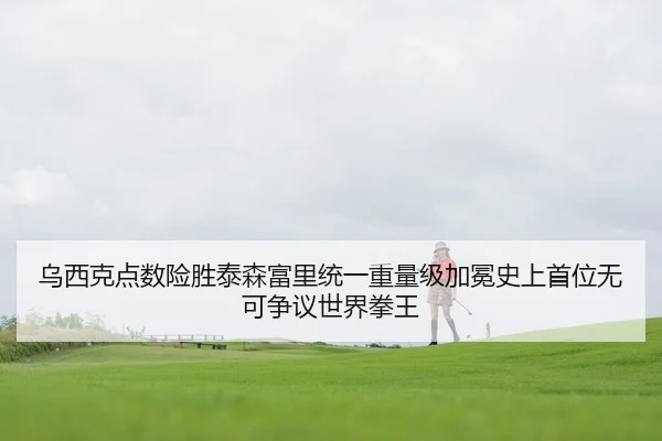 乌西克点数险胜泰森富里统一重量级加冕史上首位无可争议世界拳王